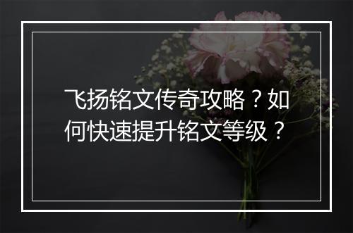 飞扬铭文传奇攻略？如何快速提升铭文等级？