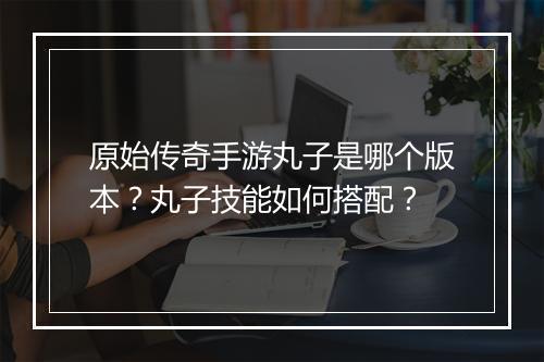 原始传奇手游丸子是哪个版本？丸子技能如何搭配？