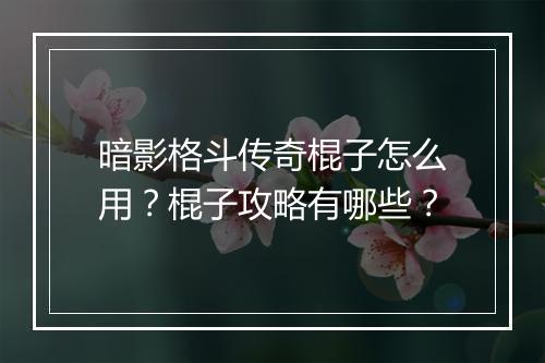 暗影格斗传奇棍子怎么用？棍子攻略有哪些？