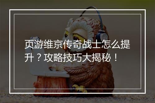 页游维京传奇战士怎么提升？攻略技巧大揭秘！