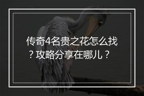 传奇4名贵之花怎么找？攻略分享在哪儿？