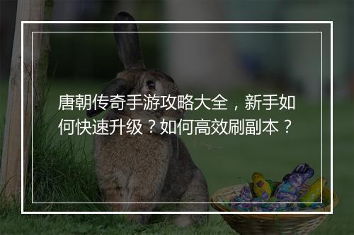 唐朝传奇手游攻略大全，新手如何快速升级？如何高效刷副本？