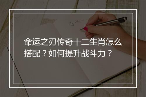 命运之刃传奇十二生肖怎么搭配？如何提升战斗力？