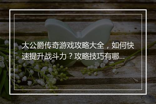 大公爵传奇游戏攻略大全，如何快速提升战斗力？攻略技巧有哪些？