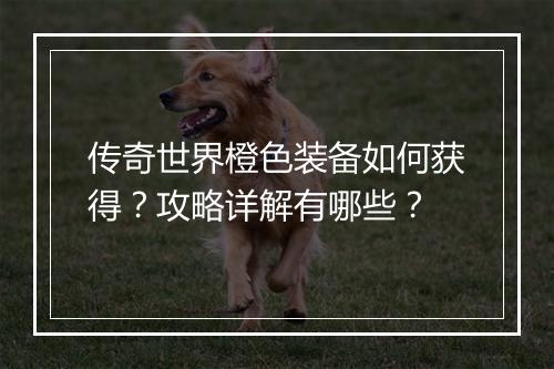 传奇世界橙色装备如何获得？攻略详解有哪些？