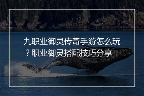 九职业御灵传奇手游怎么玩？职业御灵搭配技巧分享