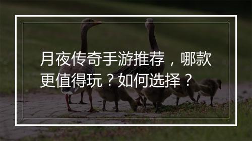 月夜传奇手游推荐，哪款更值得玩？如何选择？