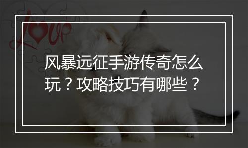 风暴远征手游传奇怎么玩？攻略技巧有哪些？
