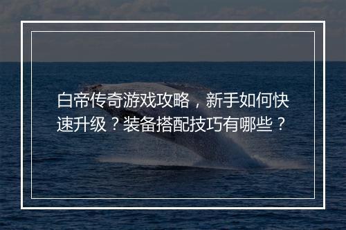 白帝传奇游戏攻略，新手如何快速升级？装备搭配技巧有哪些？