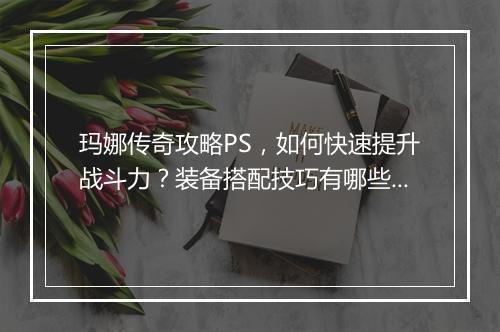 玛娜传奇攻略PS，如何快速提升战斗力？装备搭配技巧有哪些？