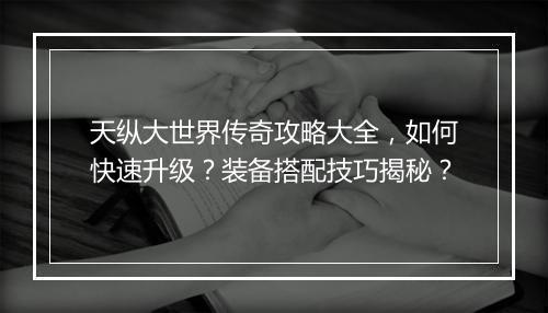 天纵大世界传奇攻略大全，如何快速升级？装备搭配技巧揭秘？