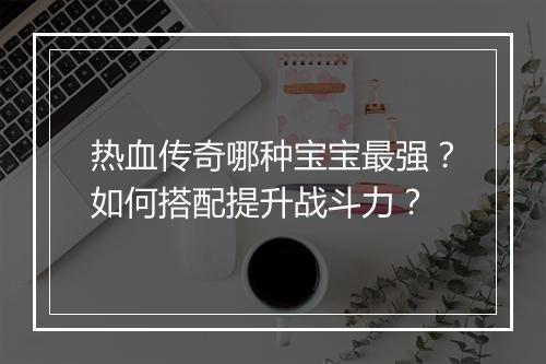 热血传奇哪种宝宝最强？如何搭配提升战斗力？