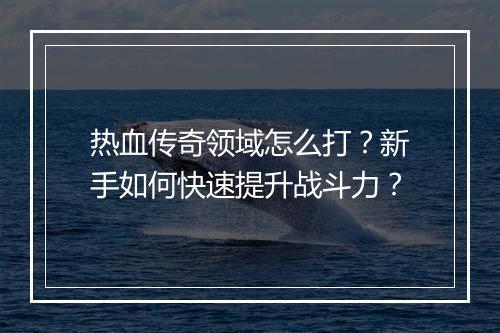 热血传奇领域怎么打？新手如何快速提升战斗力？