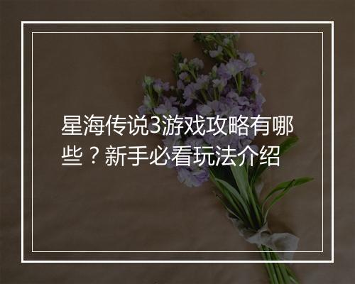 星海传说3游戏攻略有哪些？新手必看玩法介绍