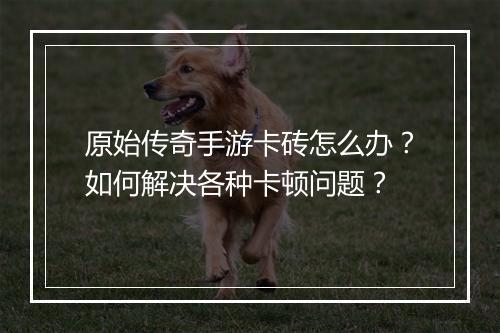 原始传奇手游卡砖怎么办？如何解决各种卡顿问题？