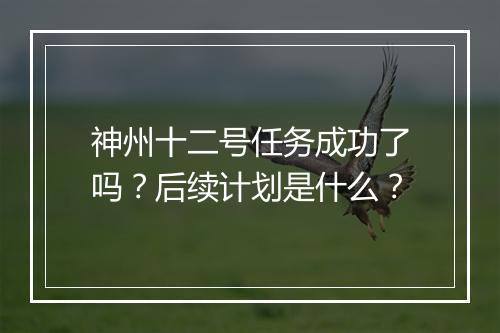 神州十二号任务成功了吗？后续计划是什么？