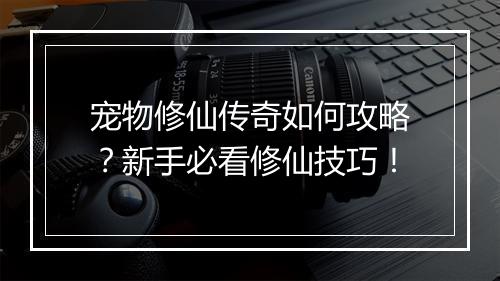 宠物修仙传奇如何攻略？新手必看修仙技巧！