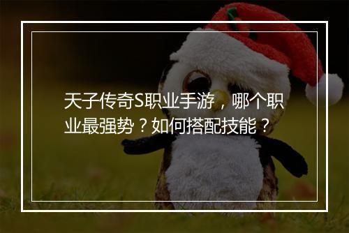 天子传奇S职业手游，哪个职业最强势？如何搭配技能？