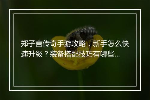 郑子言传奇手游攻略，新手怎么快速升级？装备搭配技巧有哪些？