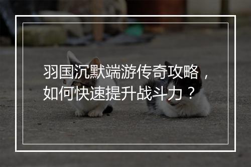 羽国沉默端游传奇攻略，如何快速提升战斗力？