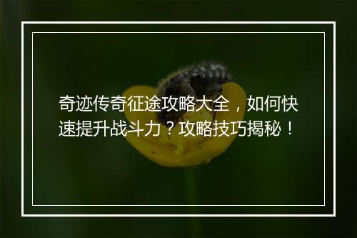 奇迹传奇征途攻略大全，如何快速提升战斗力？攻略技巧揭秘！