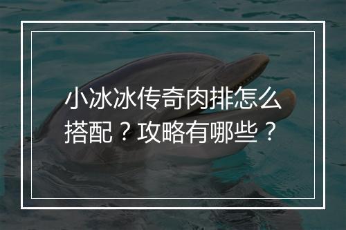 小冰冰传奇肉排怎么搭配？攻略有哪些？