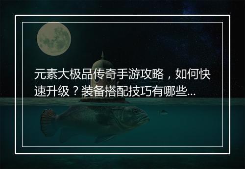 元素大极品传奇手游攻略，如何快速升级？装备搭配技巧有哪些？
