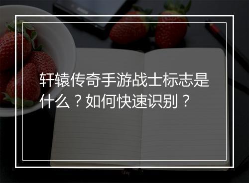 轩辕传奇手游战士标志是什么？如何快速识别？