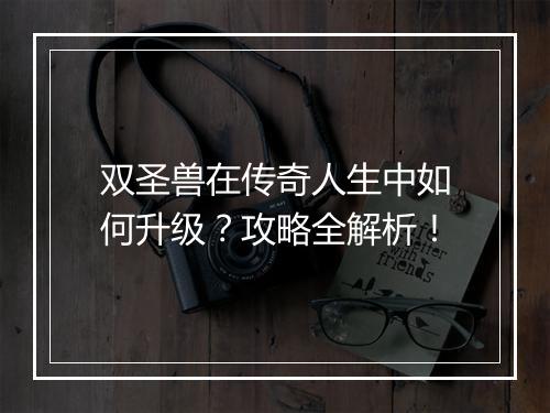 双圣兽在传奇人生中如何升级？攻略全解析！