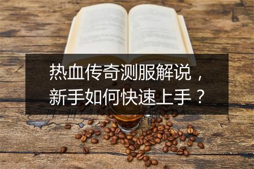 热血传奇测服解说，新手如何快速上手？
