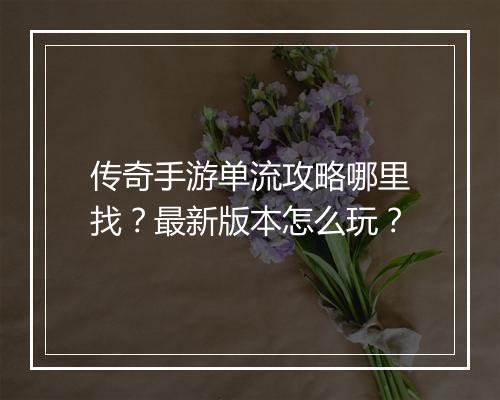 传奇手游单流攻略哪里找？最新版本怎么玩？