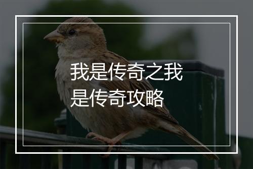 我是传奇之我是传奇攻略