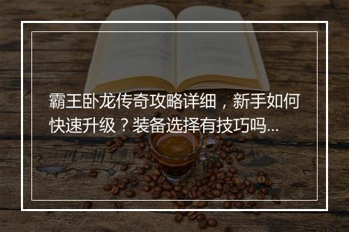 霸王卧龙传奇攻略详细，新手如何快速升级？装备选择有技巧吗？