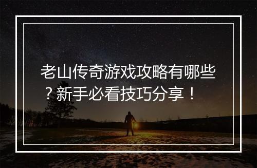 老山传奇游戏攻略有哪些？新手必看技巧分享！