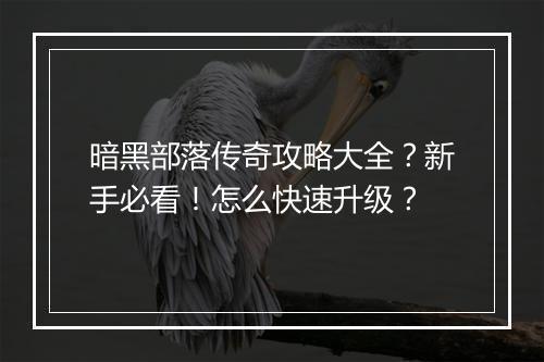 暗黑部落传奇攻略大全？新手必看！怎么快速升级？