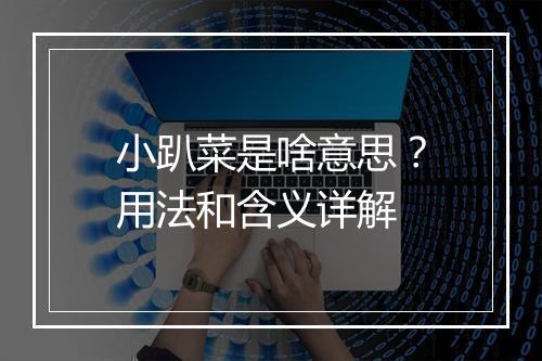 小趴菜是啥意思？用法和含义详解