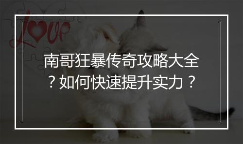 南哥狂暴传奇攻略大全？如何快速提升实力？