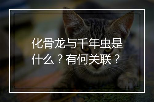 化骨龙与千年虫是什么？有何关联？