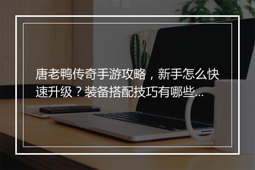 唐老鸭传奇手游攻略，新手怎么快速升级？装备搭配技巧有哪些？