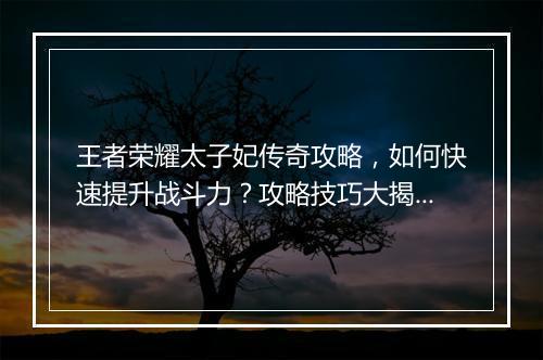 王者荣耀太子妃传奇攻略，如何快速提升战斗力？攻略技巧大揭秘！