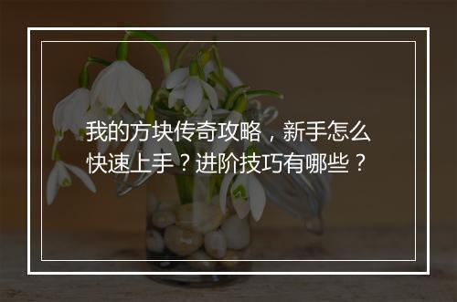 我的方块传奇攻略，新手怎么快速上手？进阶技巧有哪些？