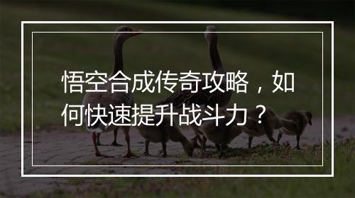 悟空合成传奇攻略，如何快速提升战斗力？