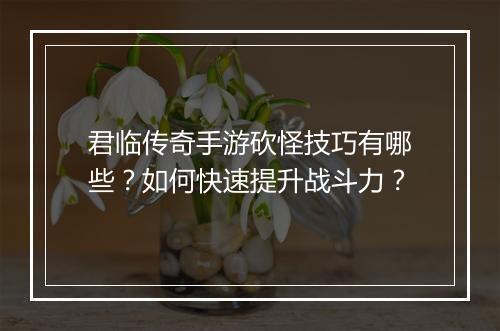 君临传奇手游砍怪技巧有哪些？如何快速提升战斗力？