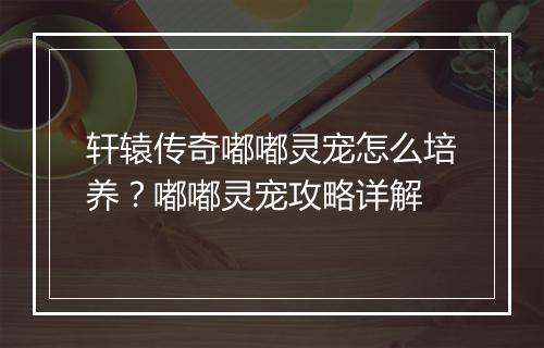轩辕传奇嘟嘟灵宠怎么培养？嘟嘟灵宠攻略详解