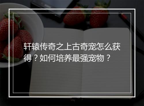 轩辕传奇之上古奇宠怎么获得？如何培养最强宠物？