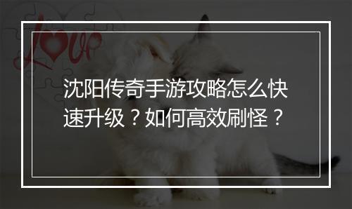 沈阳传奇手游攻略怎么快速升级？如何高效刷怪？
