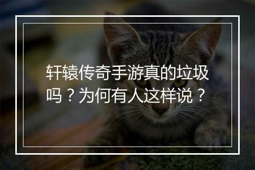 轩辕传奇手游真的垃圾吗？为何有人这样说？