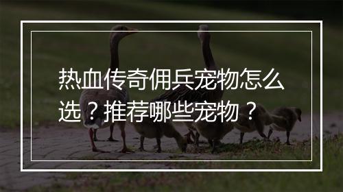 热血传奇佣兵宠物怎么选？推荐哪些宠物？
