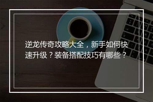 逆龙传奇攻略大全，新手如何快速升级？装备搭配技巧有哪些？
