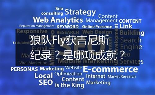 狼队Fly获吉尼斯纪录？是哪项成就？